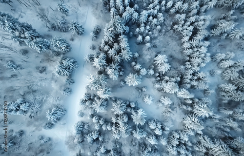 Winterwald Luftbild photo