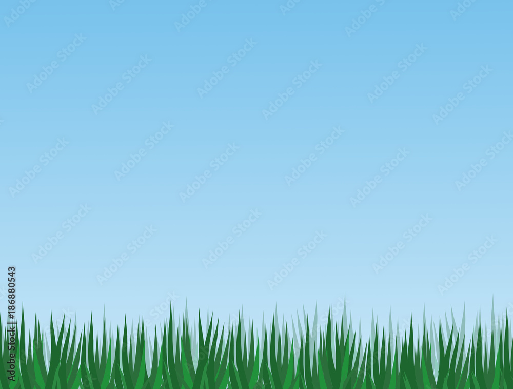 grass grass