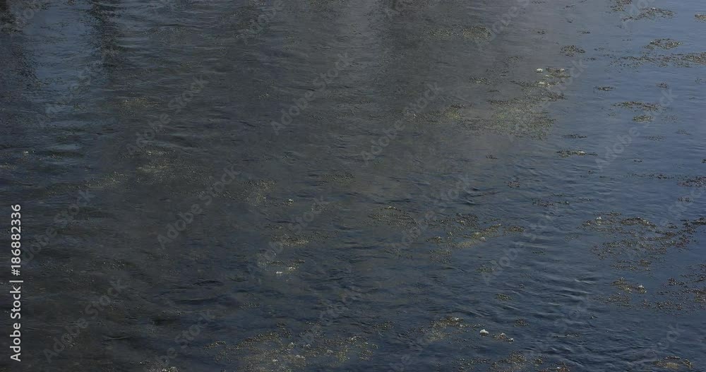 厳冬の樹氷 厳冬の樹氷