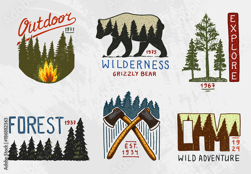 coniferous forest, mountains and wooden logo. camping and wild nature. landscapes with pine trees and hills. emblem or badge, tent tourist, brown bear, travel for vintage labels. engraved hand drawn.