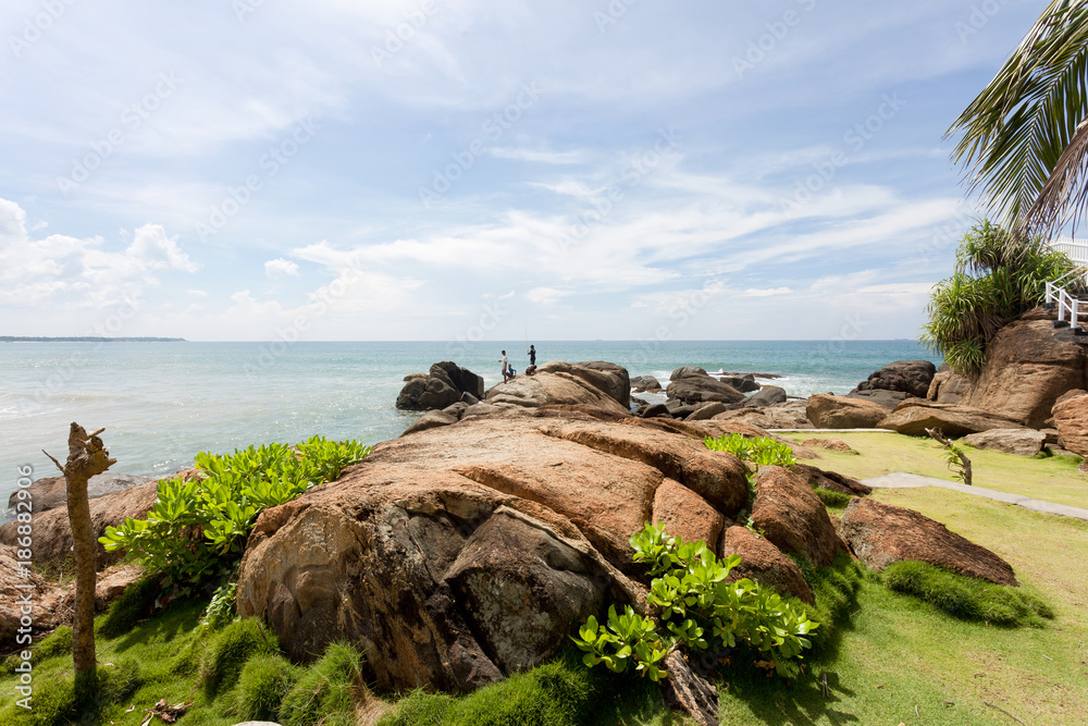 Sri Lanka - Ahungalla - Beach vegetation where live is still easy