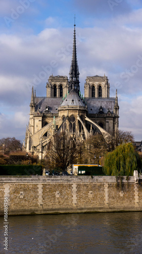 Notre Dame of Paris View