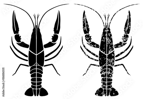 crayfish black grunge vector eps 10 © Lasa