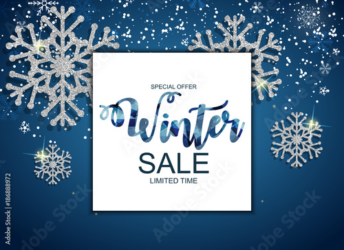 Winter Sale Background Special Offer Banner Background for Business and Advertising. Vector illustration
