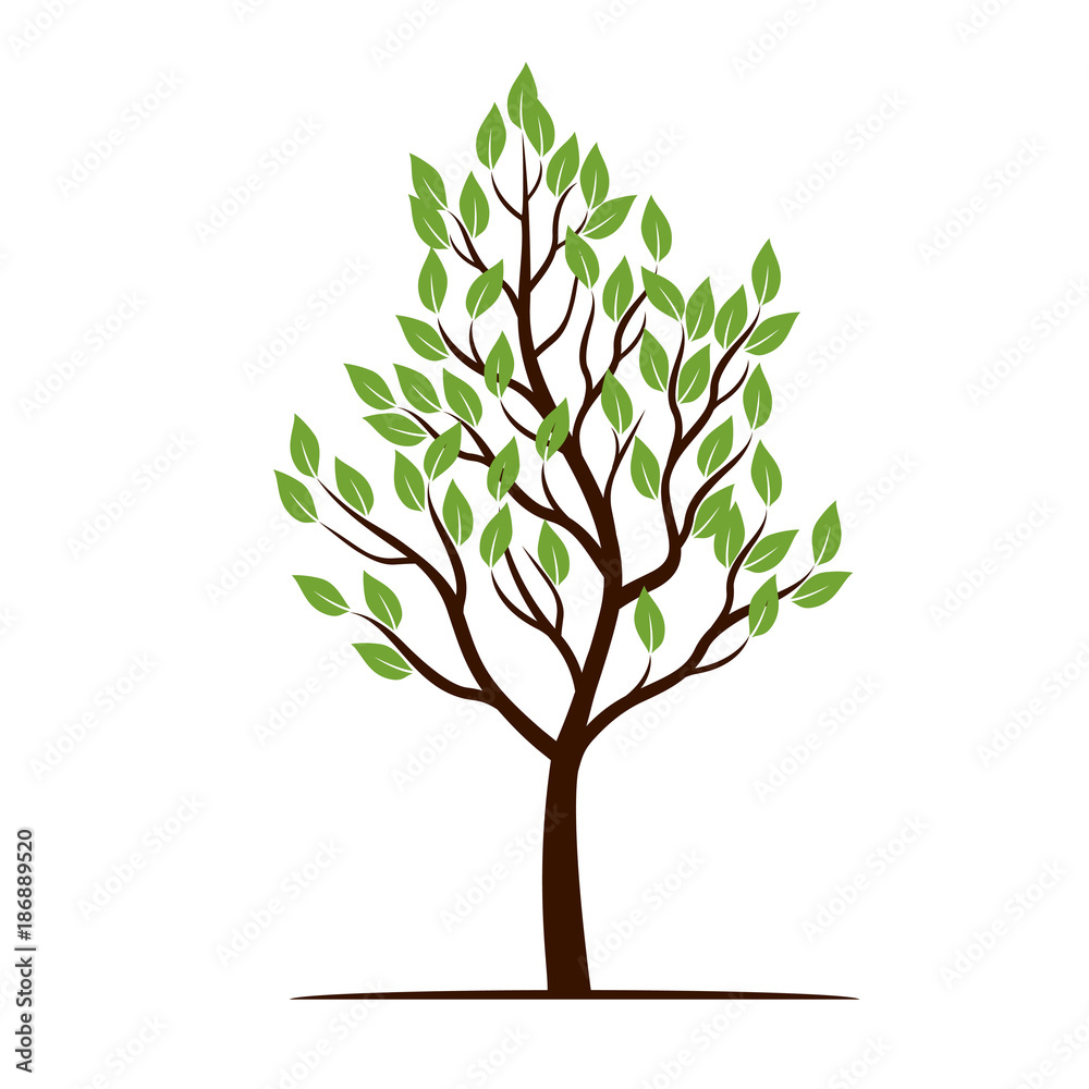 Green Tree with Leaves. Vector Illustration. Green Tree with Leaves. Vector Illustration.