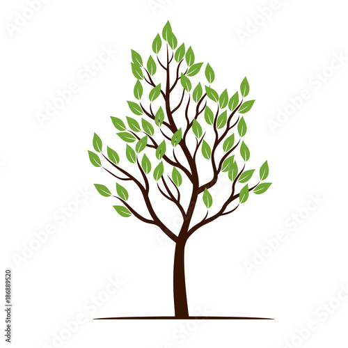 Green Tree with Leaves. Vector Illustration.