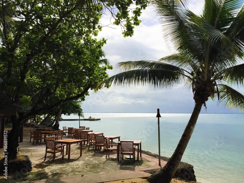 Beautiful nature on the island of Fiji 