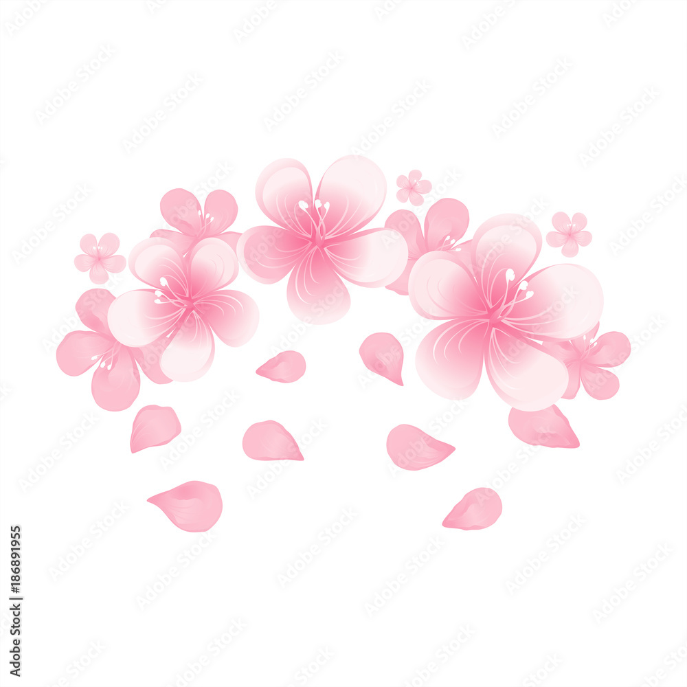 Light Pink flowers and flying petals isolated on White background. Apple-tree flowers. Cherry blossom. Vector Light Pink flowers and flying petals isolated on White background. Apple-tree flowers. Cherry blossom. Vector
