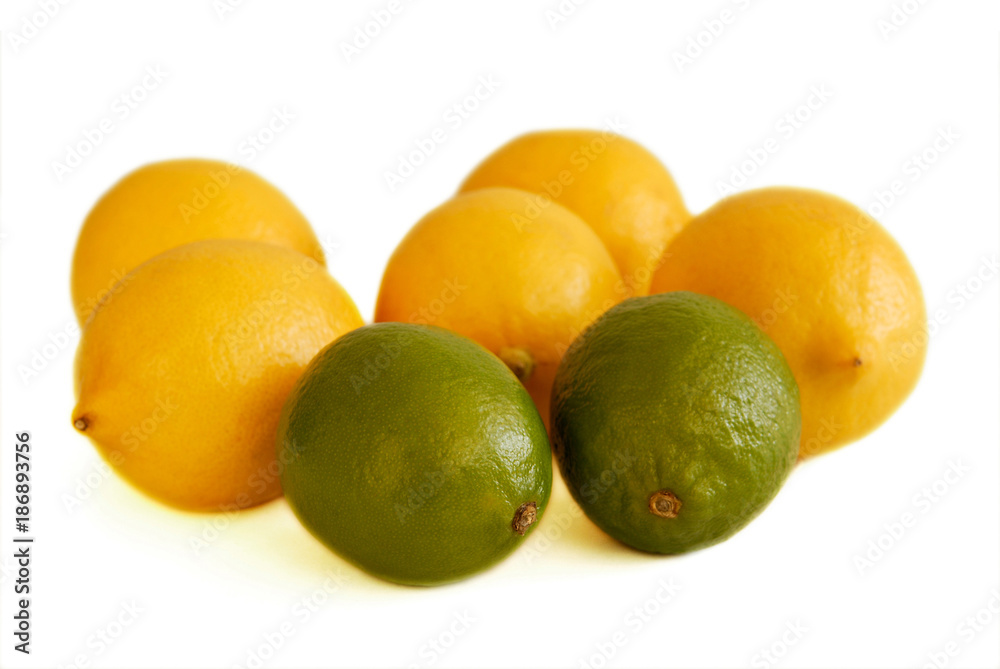 Still life of lemon and lime Still life of lemon and lime