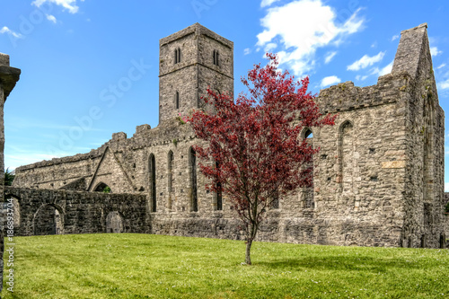 Abtei in Sligo, Irland photo