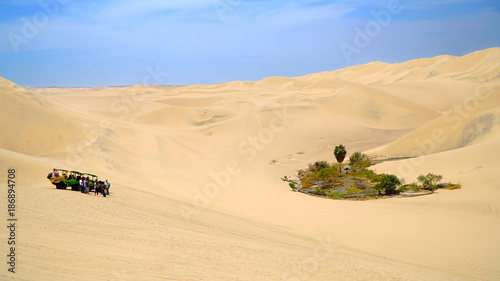 Oasis In Desert