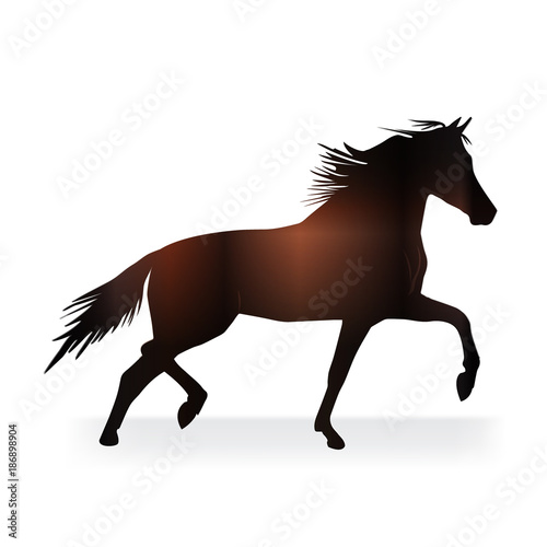 Horse silhouette logo vector image