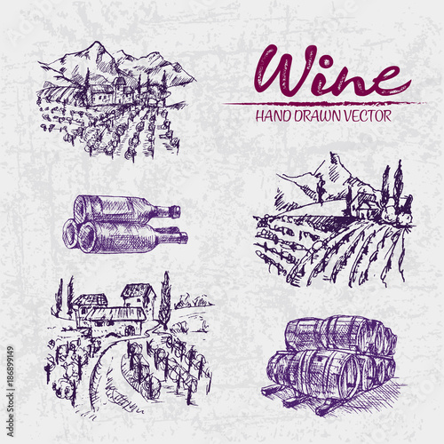 Digital color vector detailed line art purple