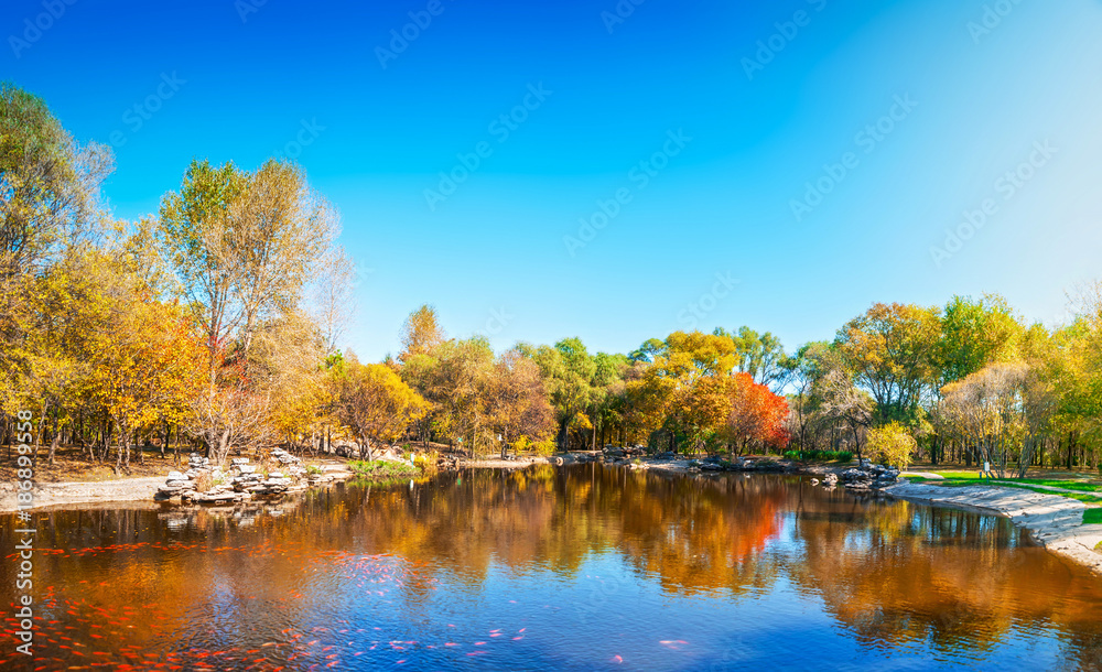 Park in autumn