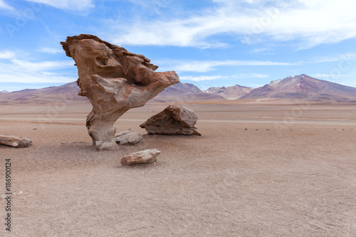 Stone tree on Altiplano against the blue sky, Bolivia