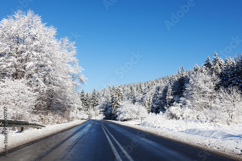 Road in the forest during winter. Winter weather