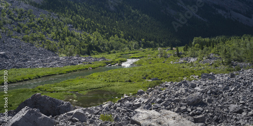 River flowing in forest, Frank Slide, Kananaskis Country, Southern Alberta, Alberta, Canada