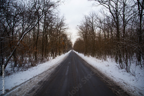 winter road in the forest. overcast
