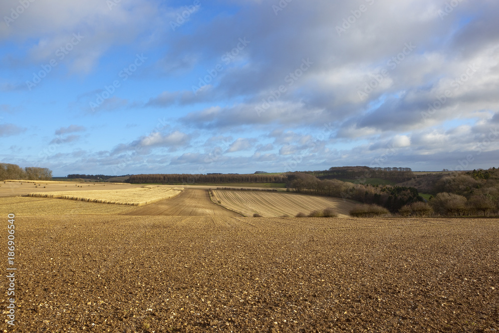 winter woodland and plow soil winter woodland and plow soil