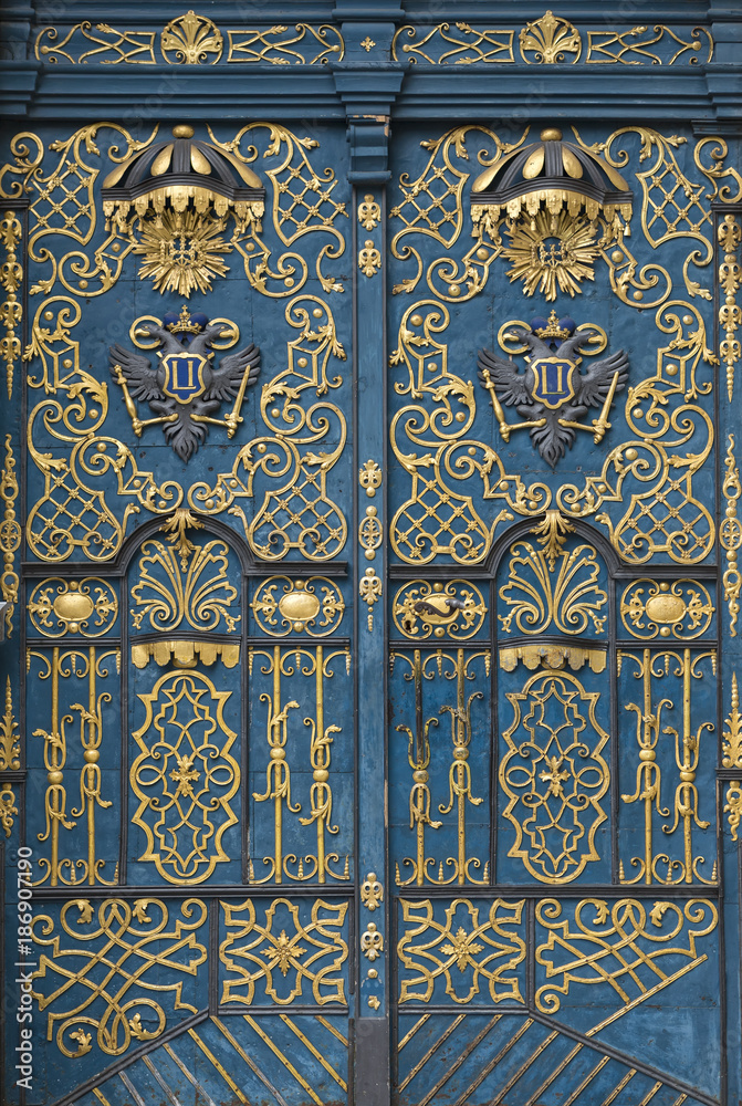 Ornamented door. Entrance door to University building. Lower Silesia. Poland. Europe.