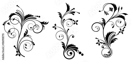 Set of vector decoration curve elements