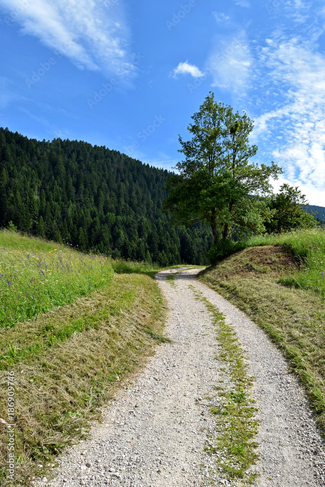 Italian alps Andalo