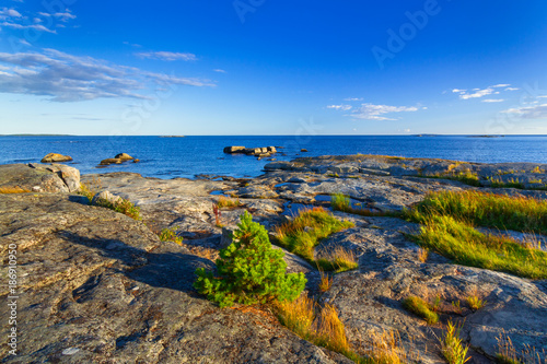 Beautiful coastline of Baltic sea, Sweden