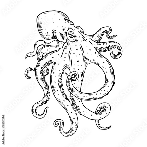 Octopus engraving vector illustration