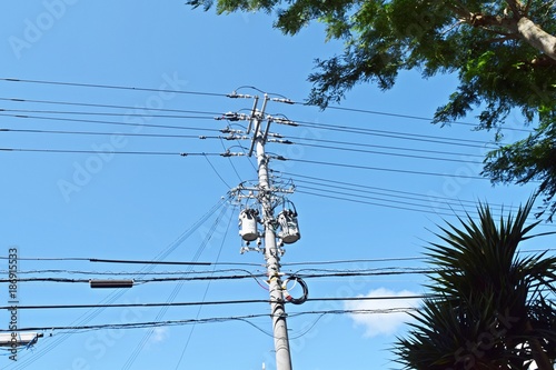Electric poles and green trees