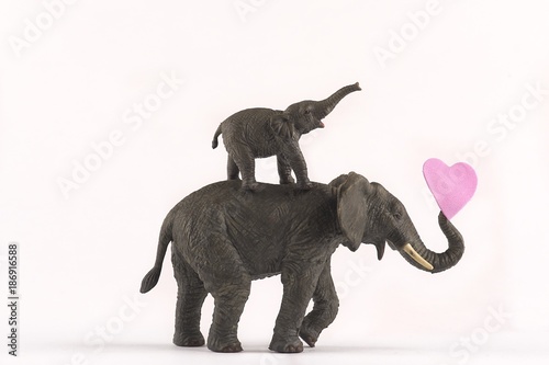 elephants in love on white background with hearts and family for valentines day  plenty of room for type © Tina 