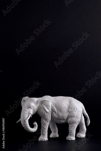 white elephant on black background great for white elephant sale  © Tina 