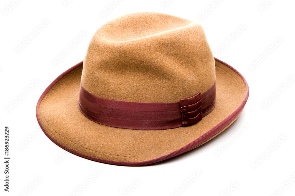 Brown Fedora Felt hat