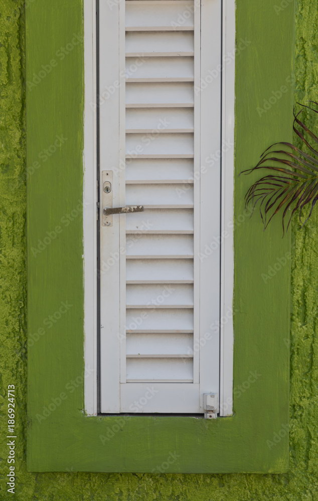 Fototapeta premium Abstract Green and White Window Pane and Shutter