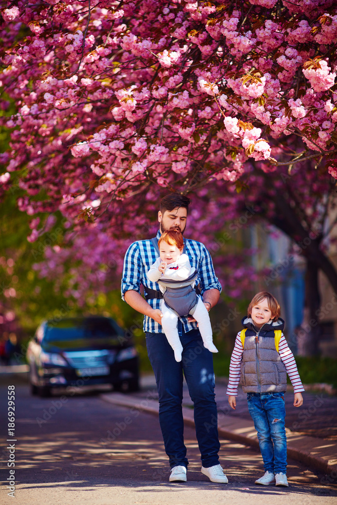 Obraz premium happy father with kids on the walk in spring city, baby carrier, paternal leave