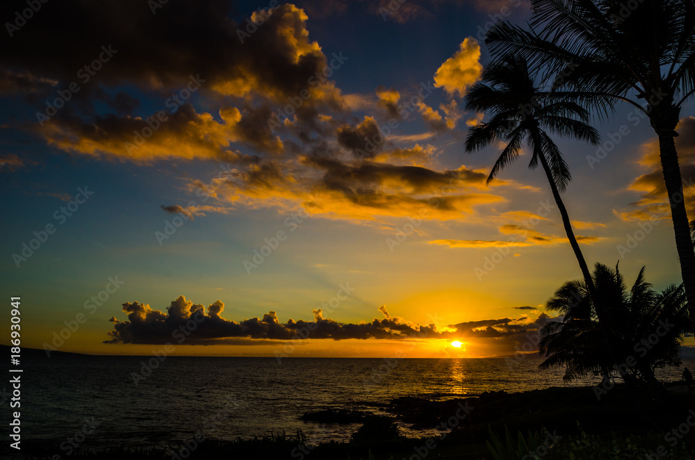 Sunset and Coconut Palm Tree