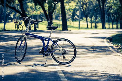 The bicycle standing on bike lane in a park.