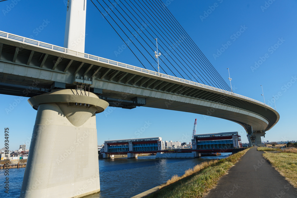 かつしかハープ橋 Stock 写真 Adobe Stock