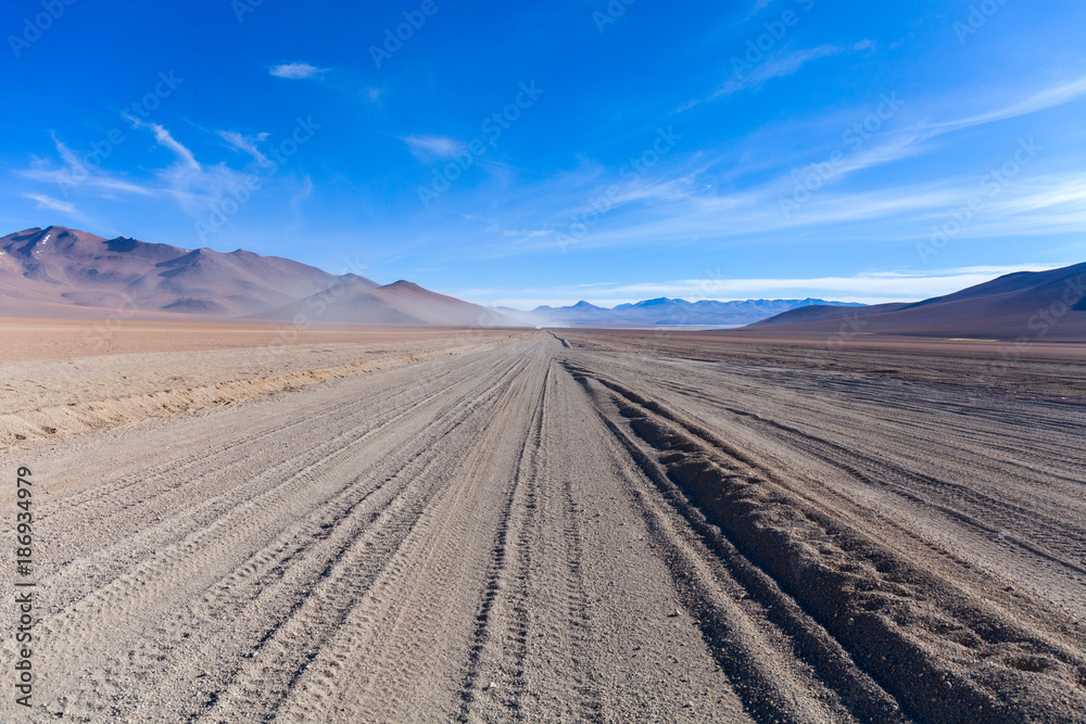 The Car Trails in the Middle of the Desert, Bolivia, South America