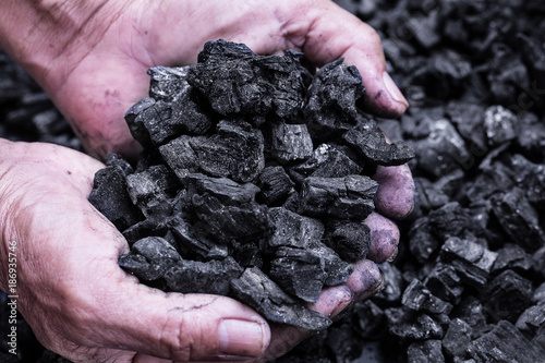Coal mining : coal miner in the man hands of coal background. Picture idea about coal mining or energy source, environment protection. Industrial coals. Volcanic rock.