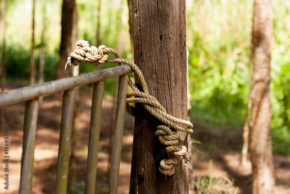 old rope on wooden pole