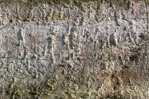 Rough texture of a concrete wall.