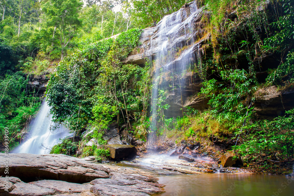 Obraz premium Waterfall in rain forset Maesapok,Chiangmai Thailand