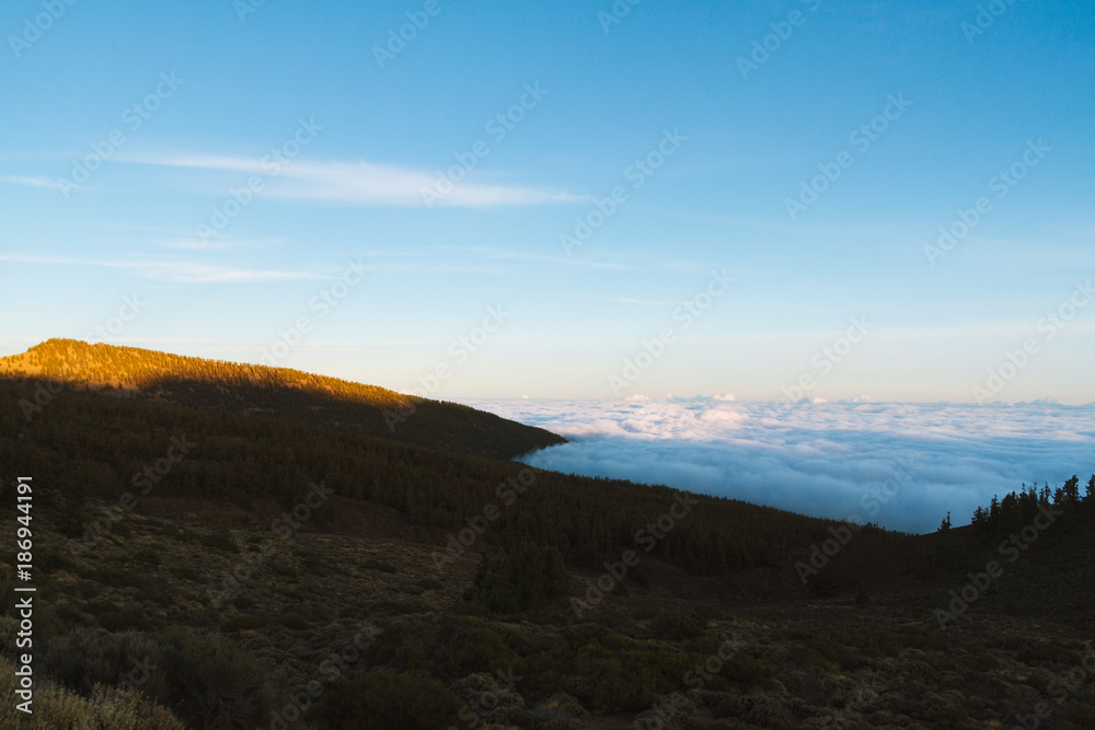 Forest above cloud inversion in desert landscape while sunrise