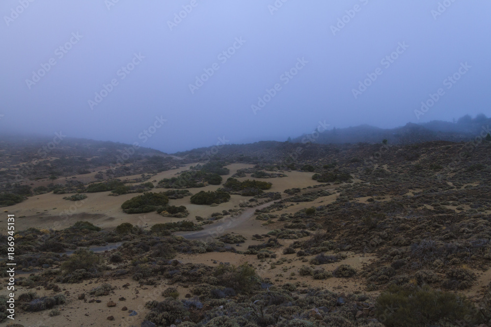 Desert landscape covered in morning fog at dawn