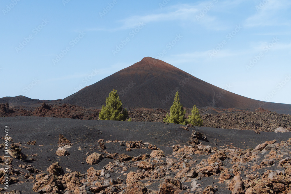 Dark volcanic desert landscape with green trees