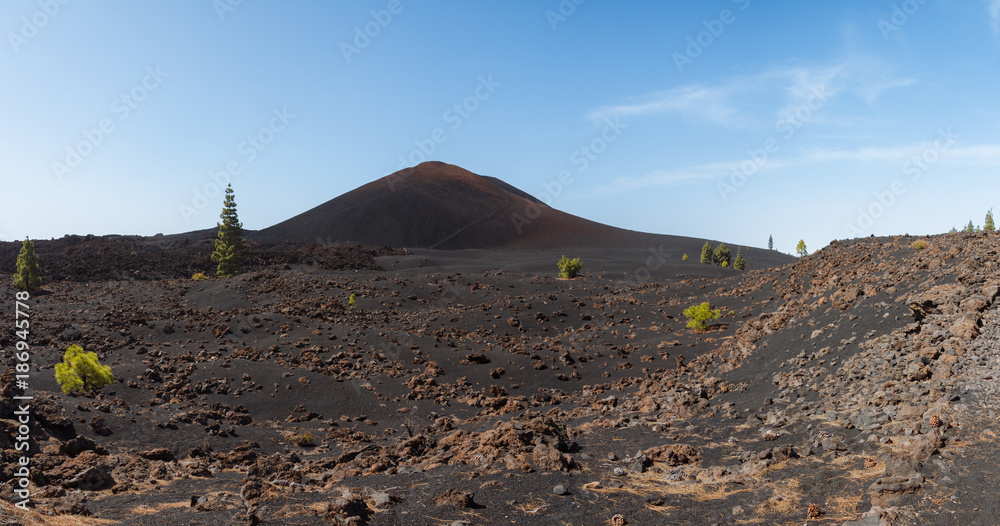 Dark volcanic desert landscape with green trees