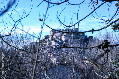 The village on the hill is visible through the branches of trees against the blue sky. The village "Cordes sur Ciel" is located in the south of France in the department of Tarn