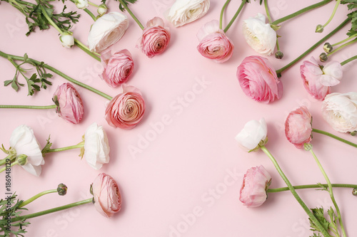 Fototapeta Pink ranunculus flowers