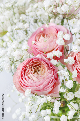 Pink ranunculus flowers.