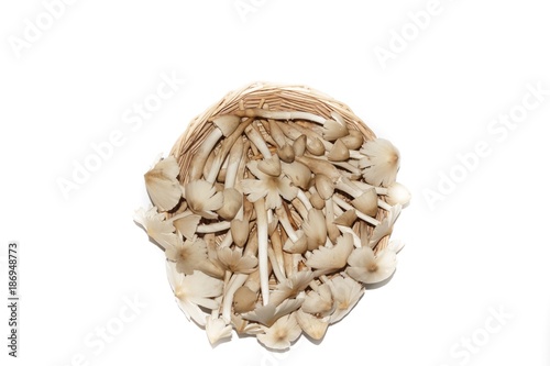 Mushrooms in a container on a white background.
